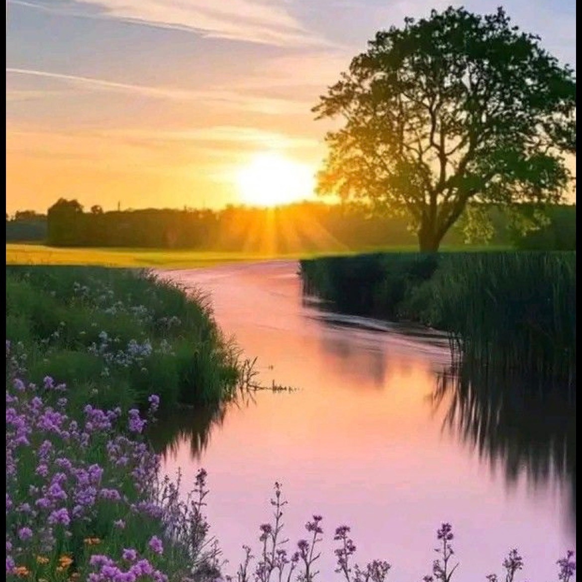 Тихая вода