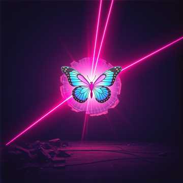 Dreamer's Flight